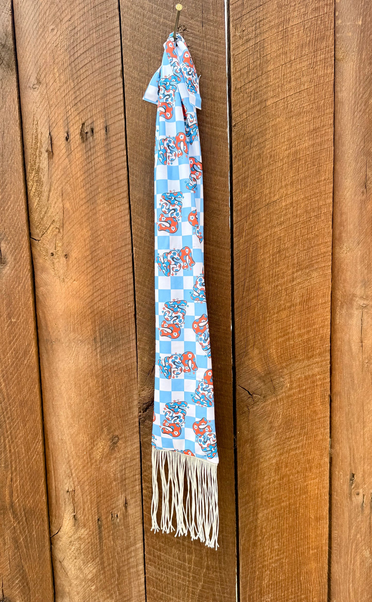 Party in the USA w Fringe