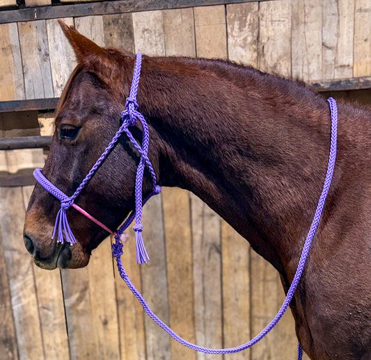 The Dusty Lilac Creek