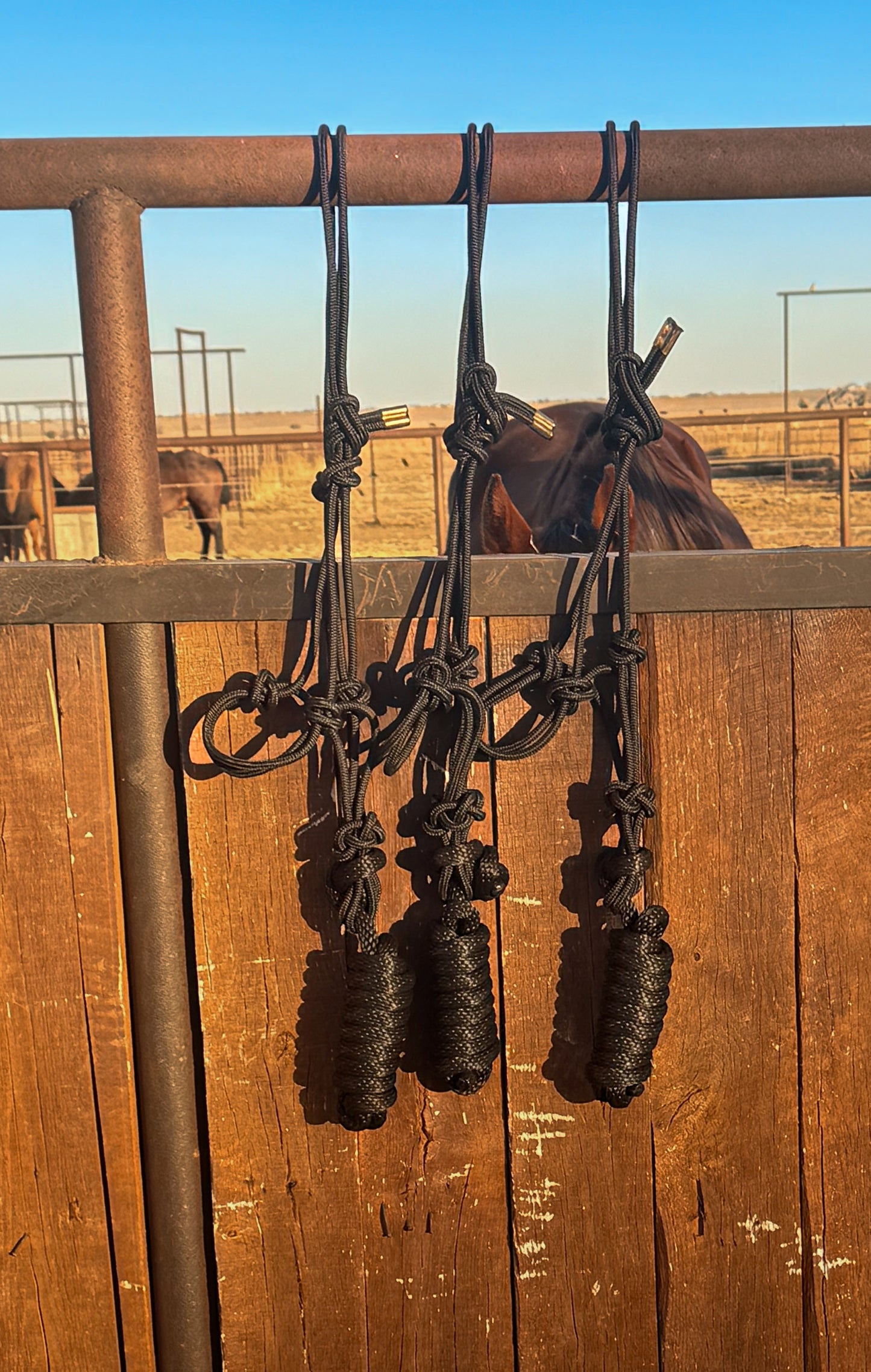 Rope Halters