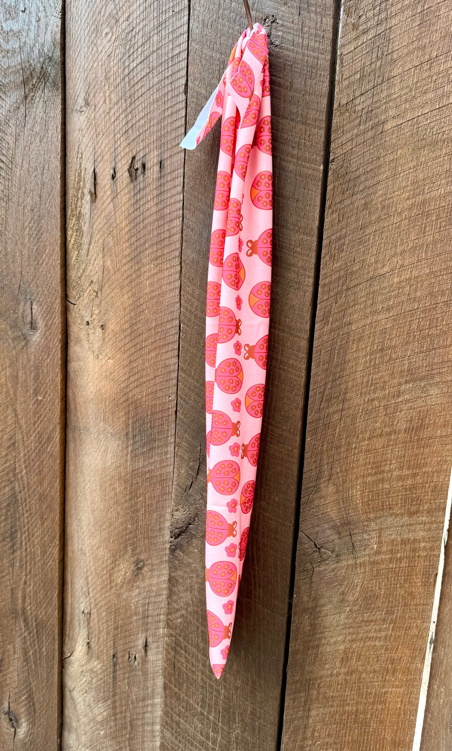 LadyBugs