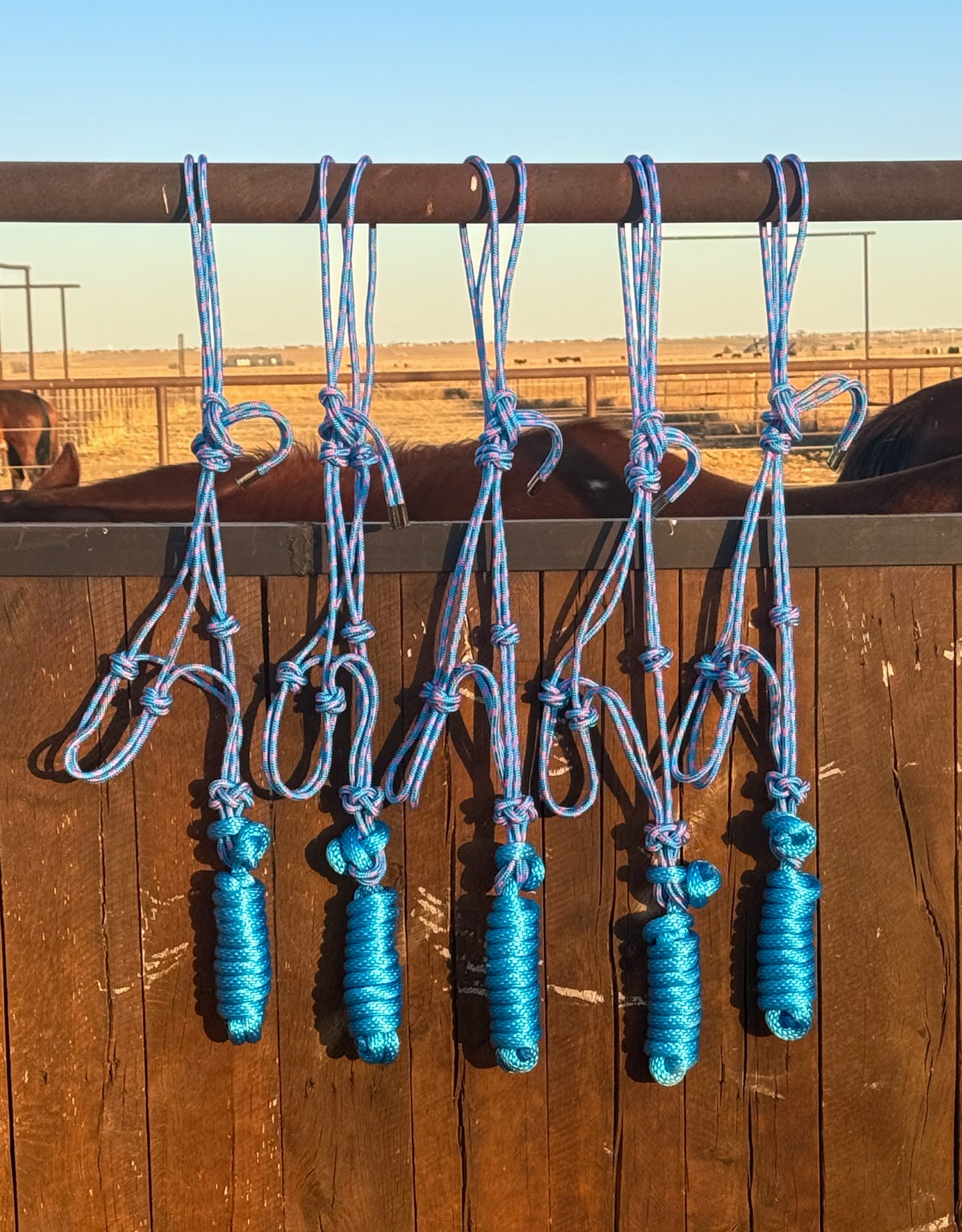 Rope Halters