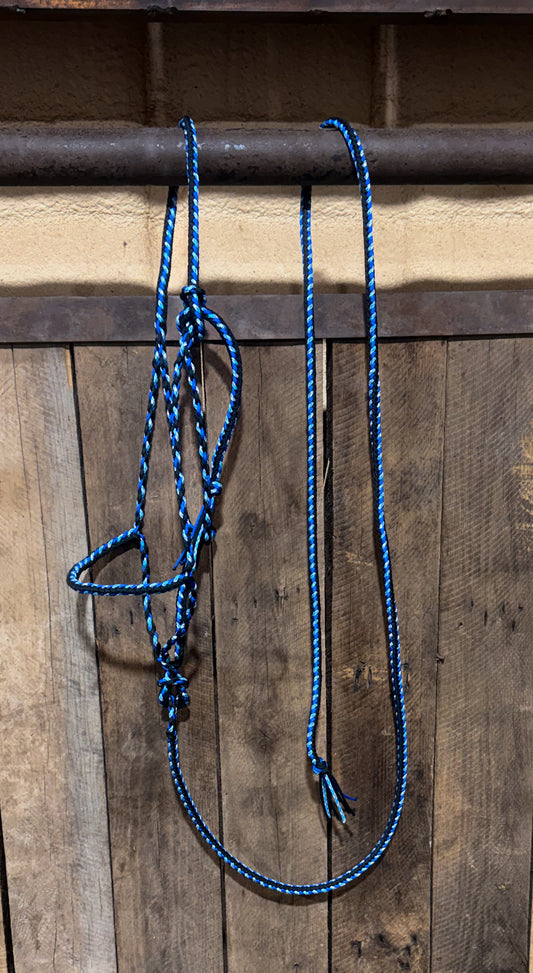 Blue Northern