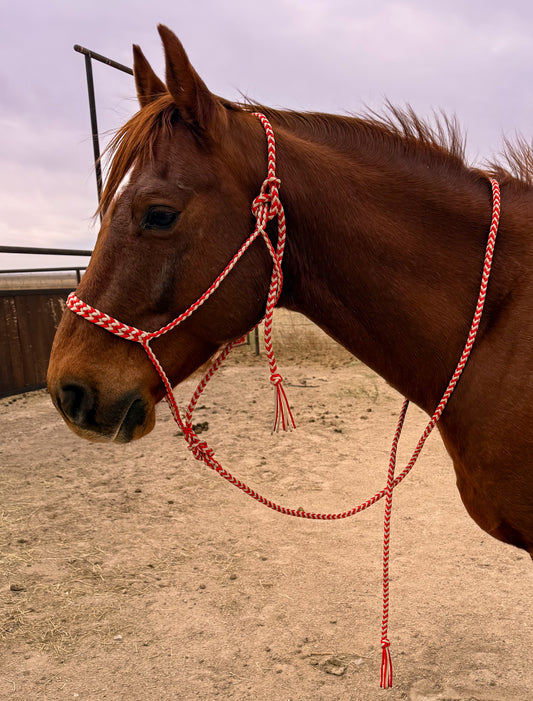 Prairie Rose